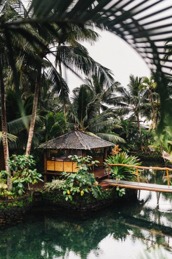 f80f037211869d98da4b3bb79ab6330f